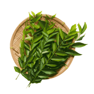 Curry Leaves 20g (Approx)
