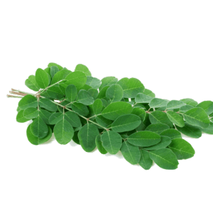 Murungai Keerai / Drumstick Leaves App. 250g