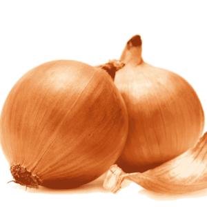 Indian Onion / Bombay Onion